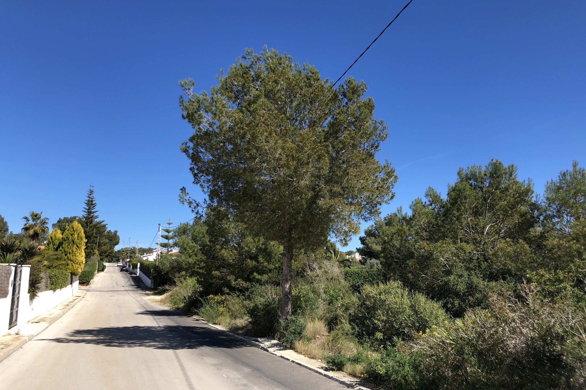 Vente - Terrain - Javea - Costa Nova