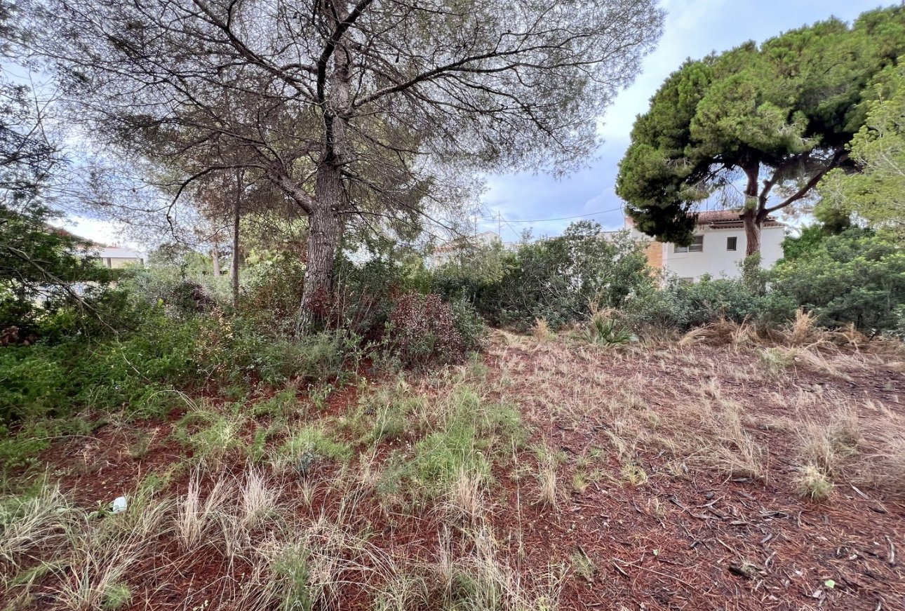 Vente - Terrain - Moraira - El Portet