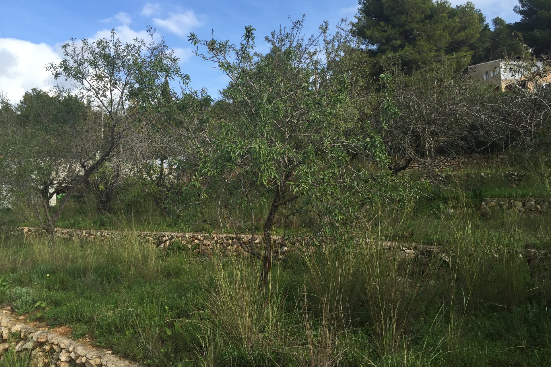 Vente - Terrain - Moraira - Paichi