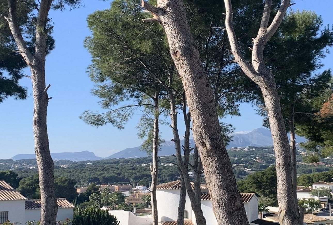 Vente - Terrain - Moraira - Pla del Mar