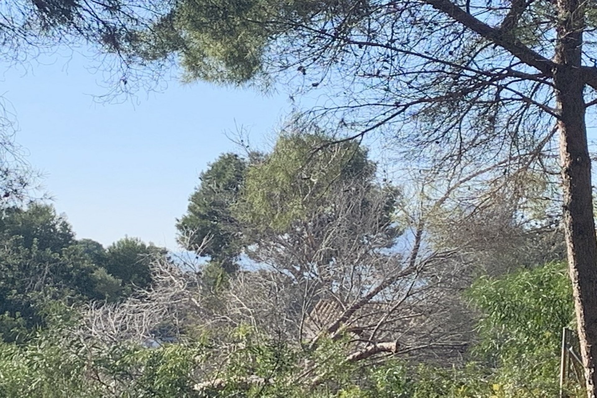 Vente - Terrain - Moraira - Pla del Mar