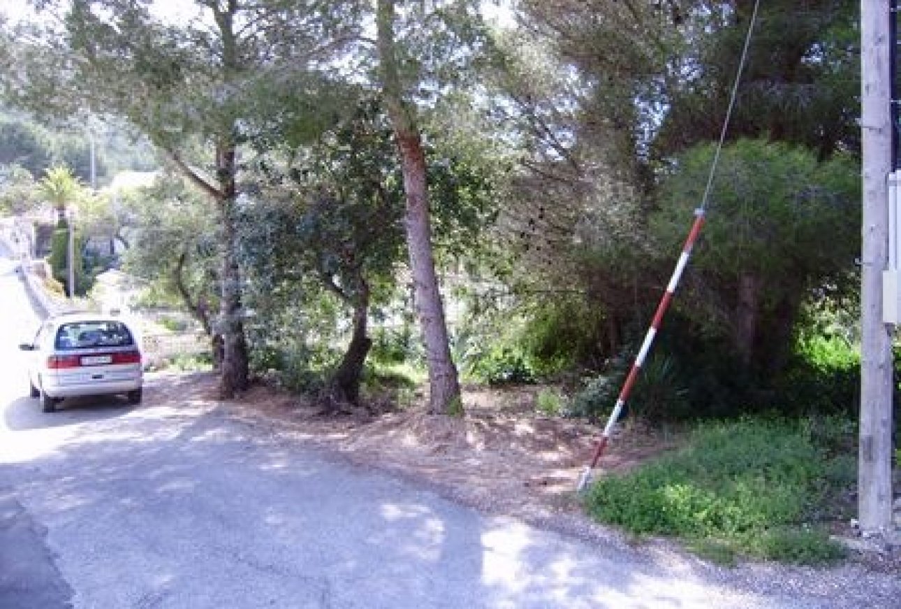 Vente - Terrain - Moraira