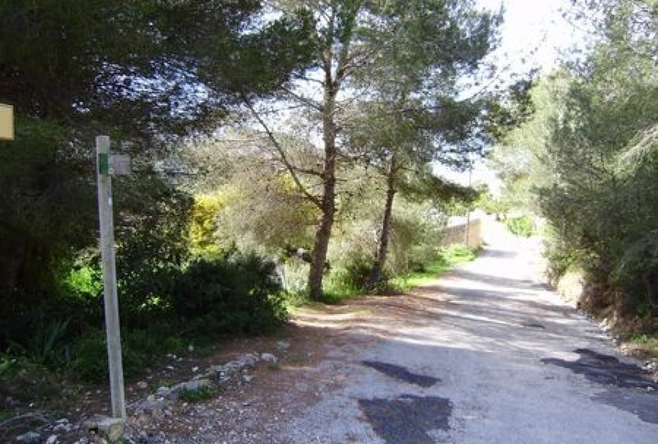 Vente - Terrain - Moraira