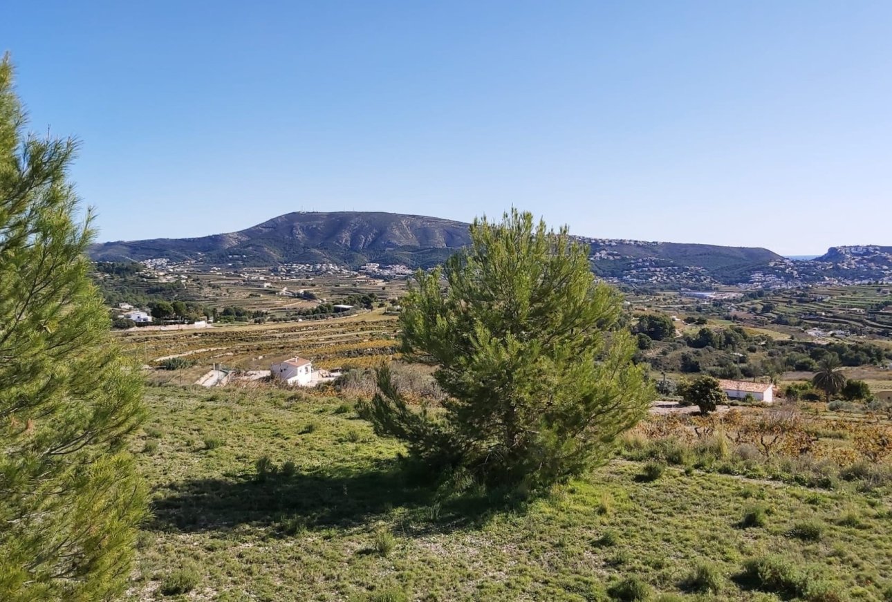Vente - Terrain - Teulada - Centro
