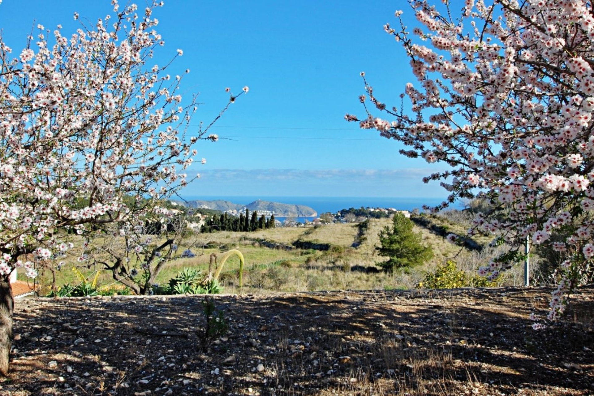 Vente - Villa - Benissa - Baladrar