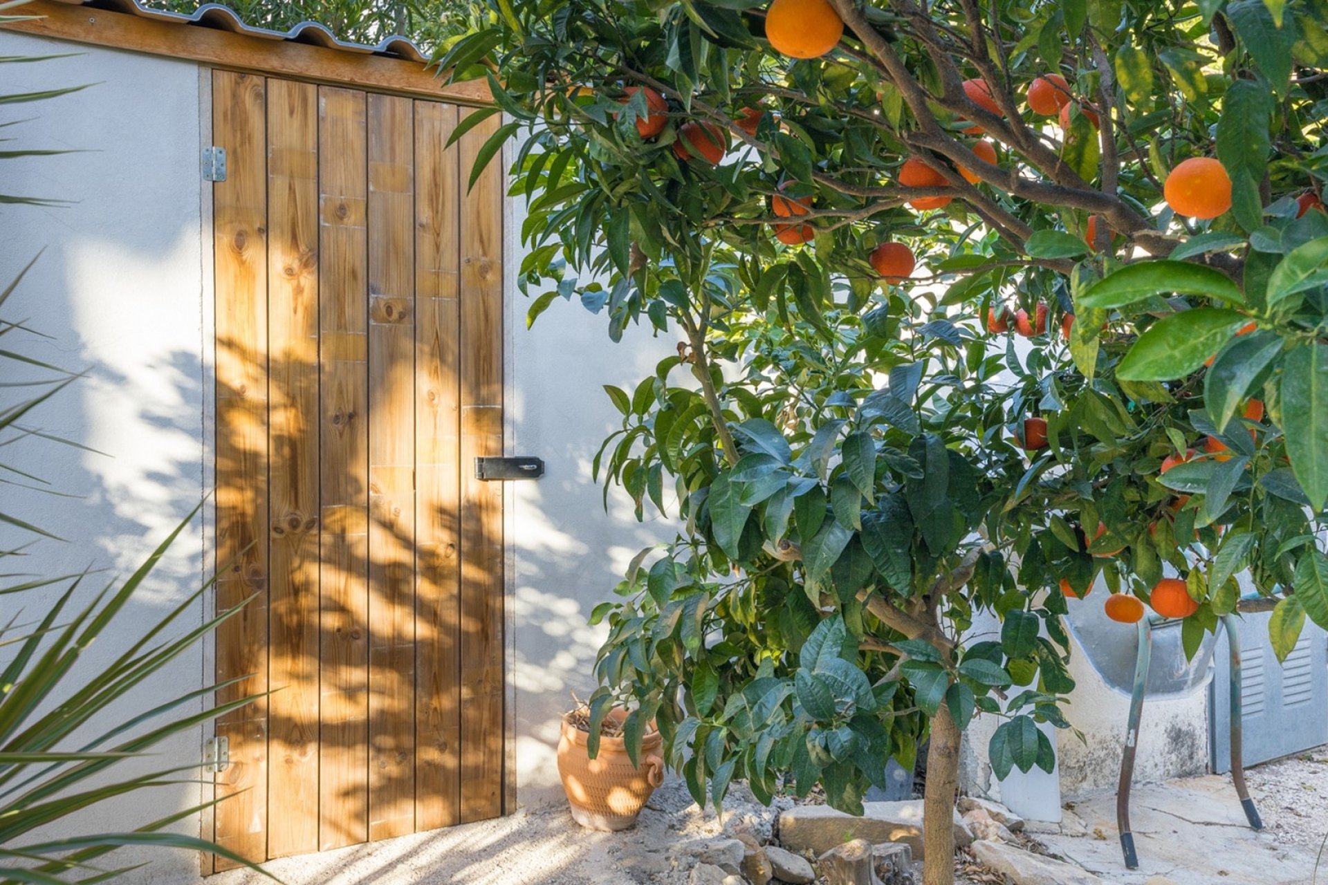 Vente - Villa - Benissa - Baladrar