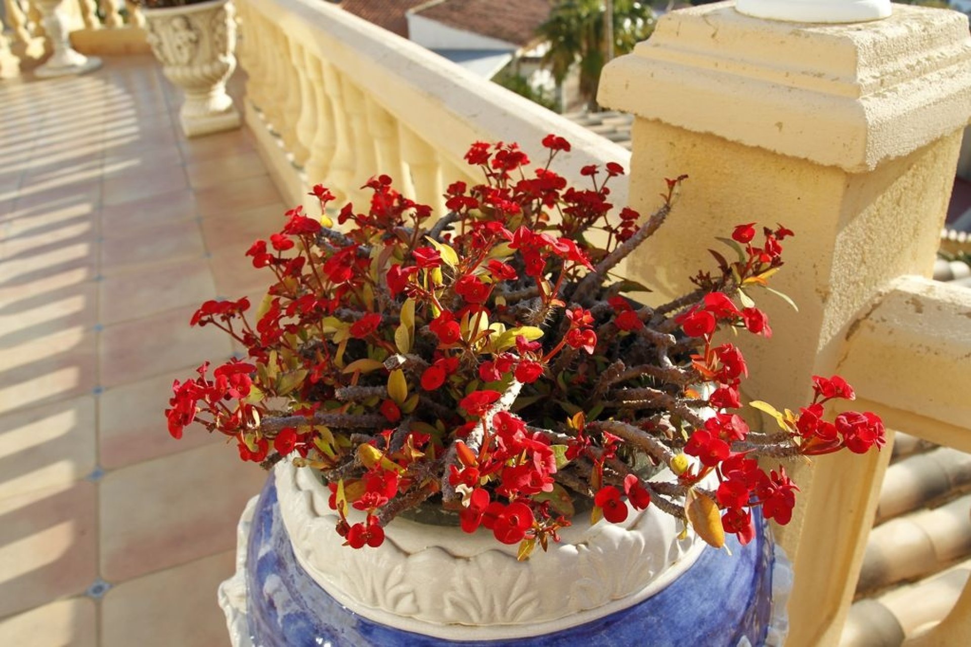 Vente - Villa - Benissa - Benissa Costa