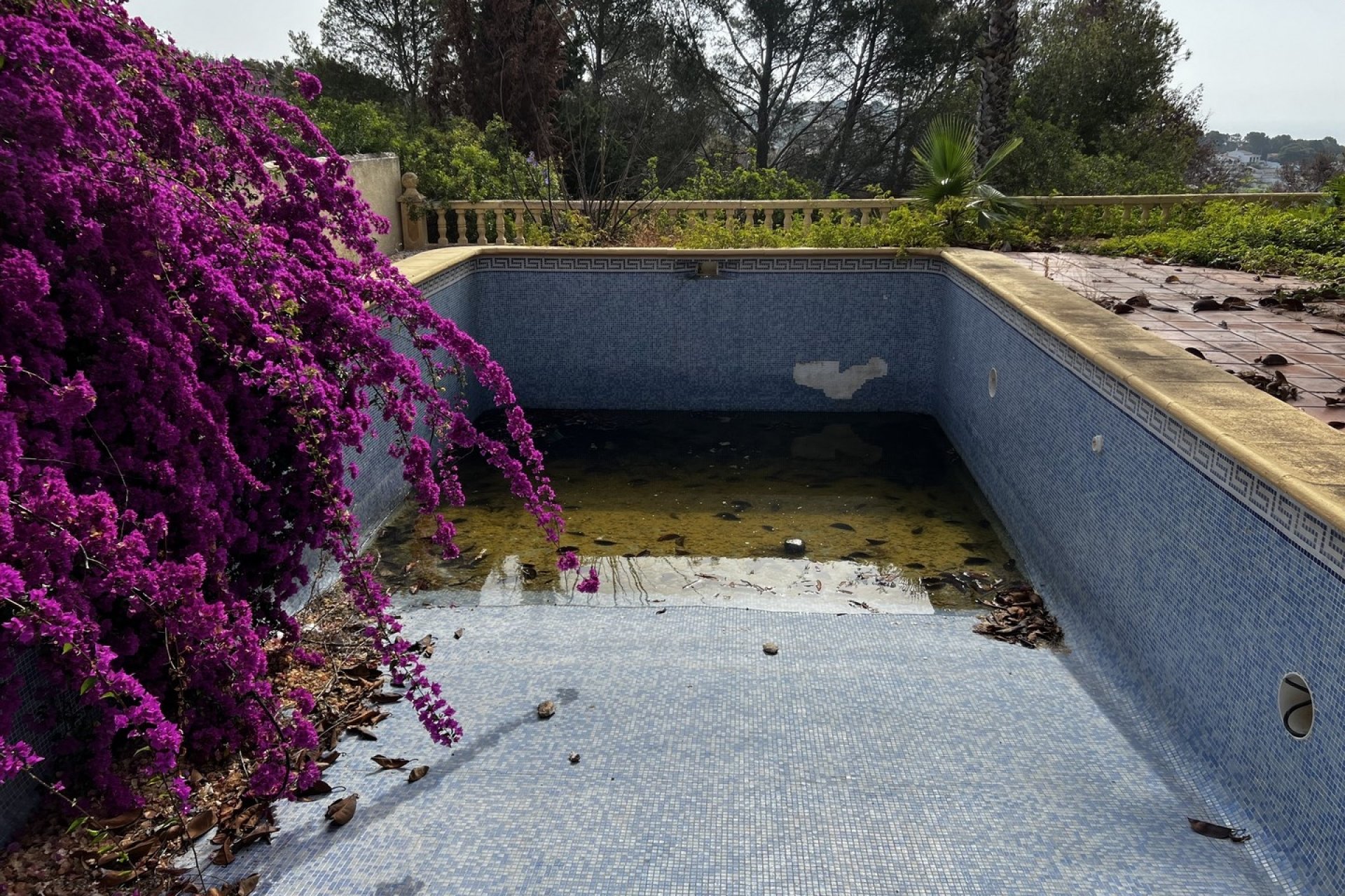 Vente - Villa - Benissa - Benissa Costa