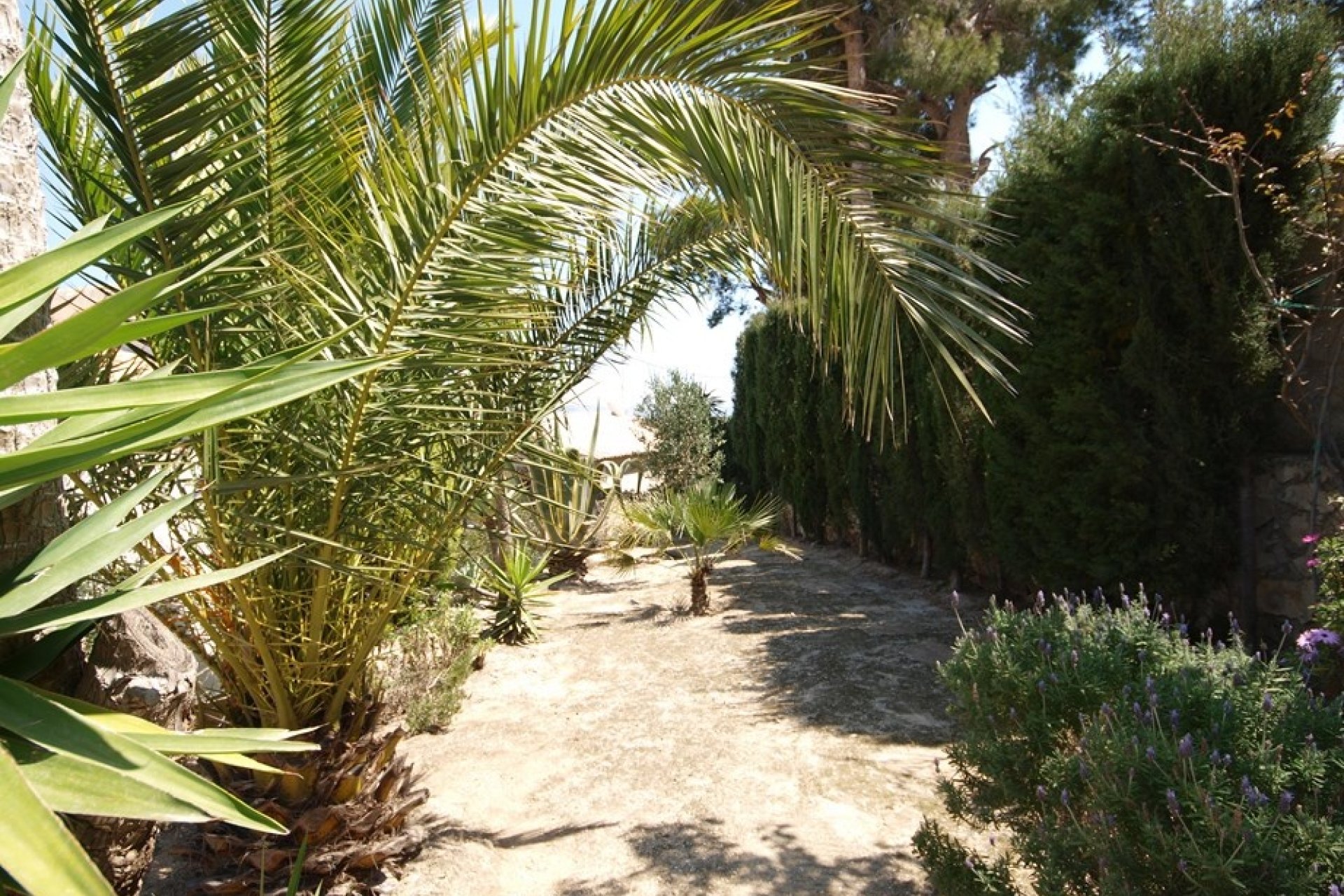 Vente - Villa - Benissa - Montemar
