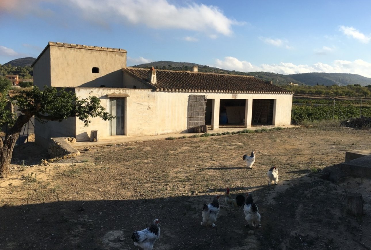 Vente - Villa - Benissa - Rural