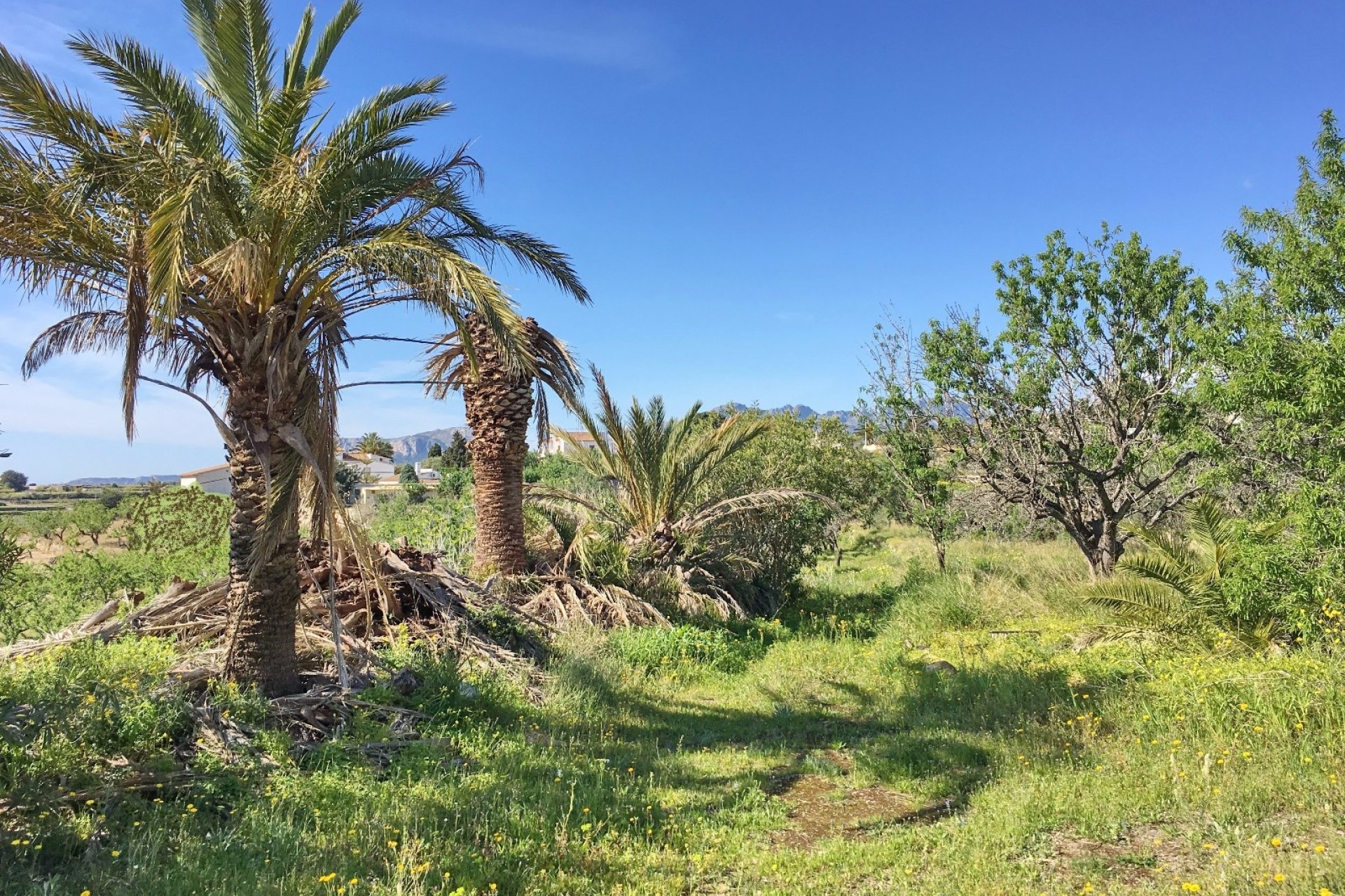 Vente - Villa - Benissa - Rural