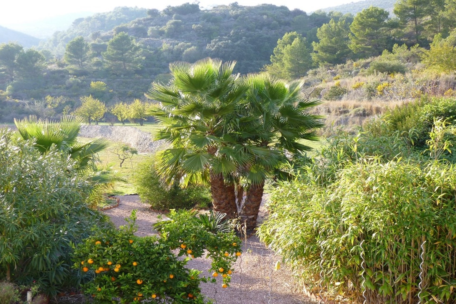 Vente - Villa - Benissa