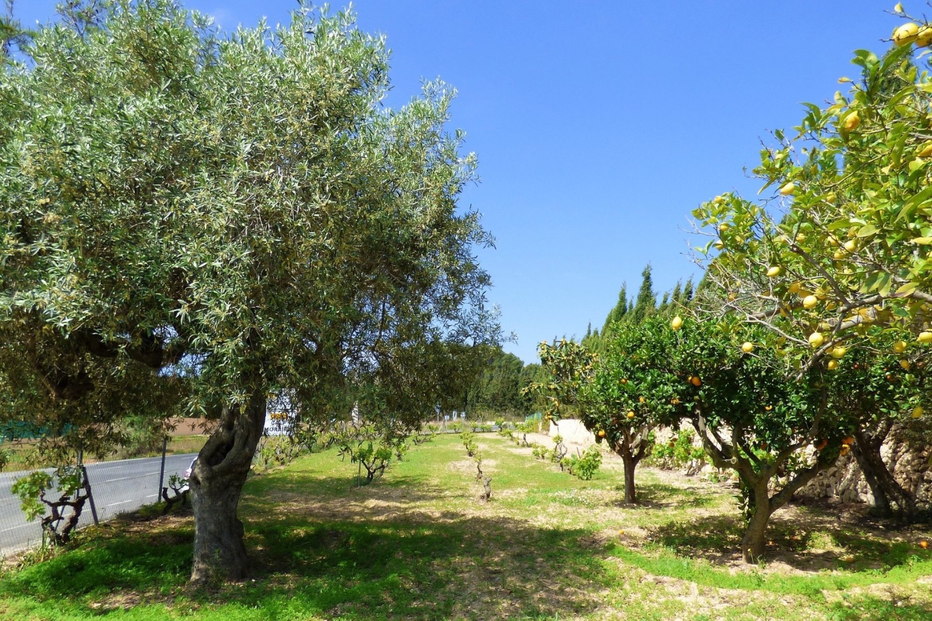 Vente - Villa - Benissa