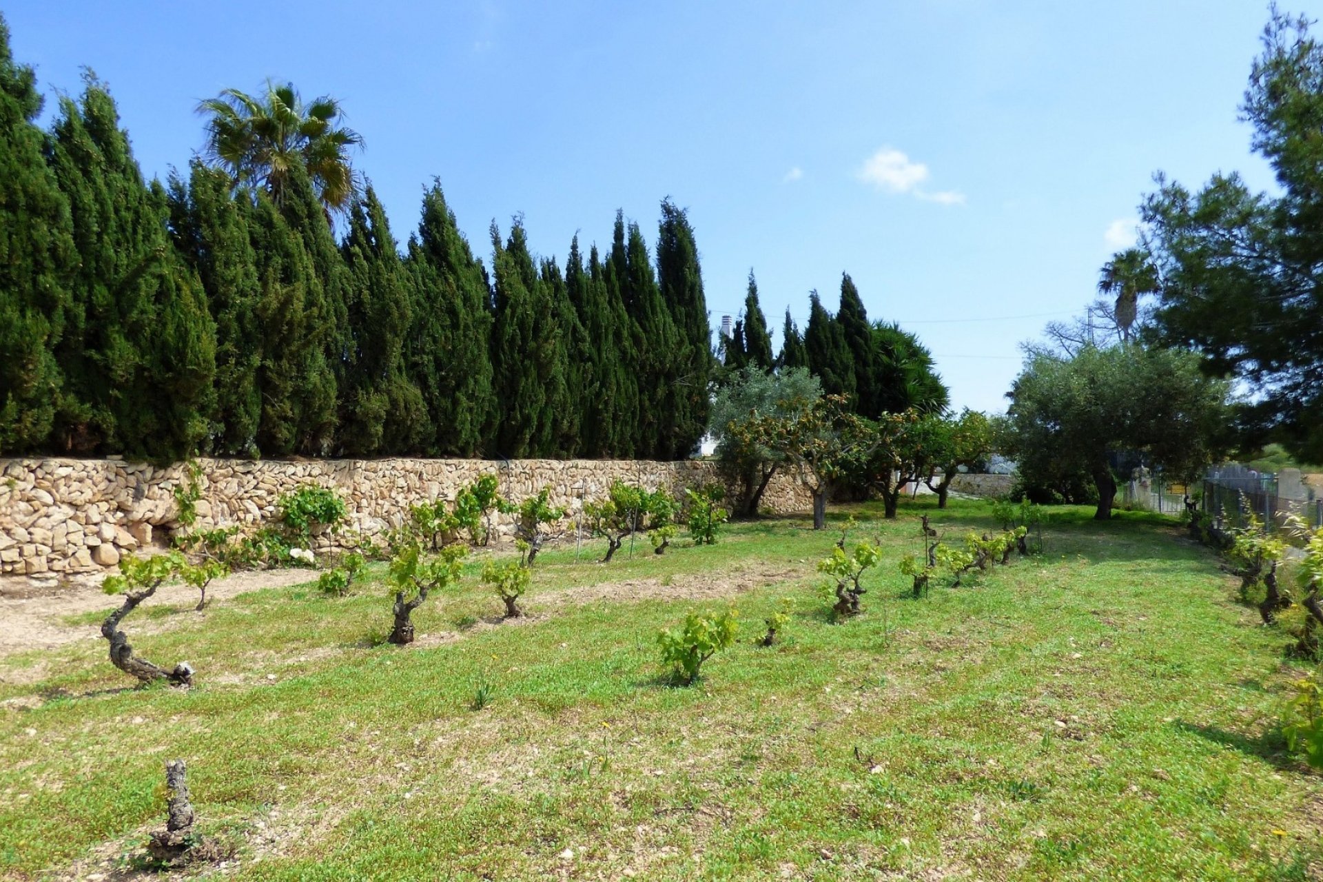 Vente - Villa - Benissa