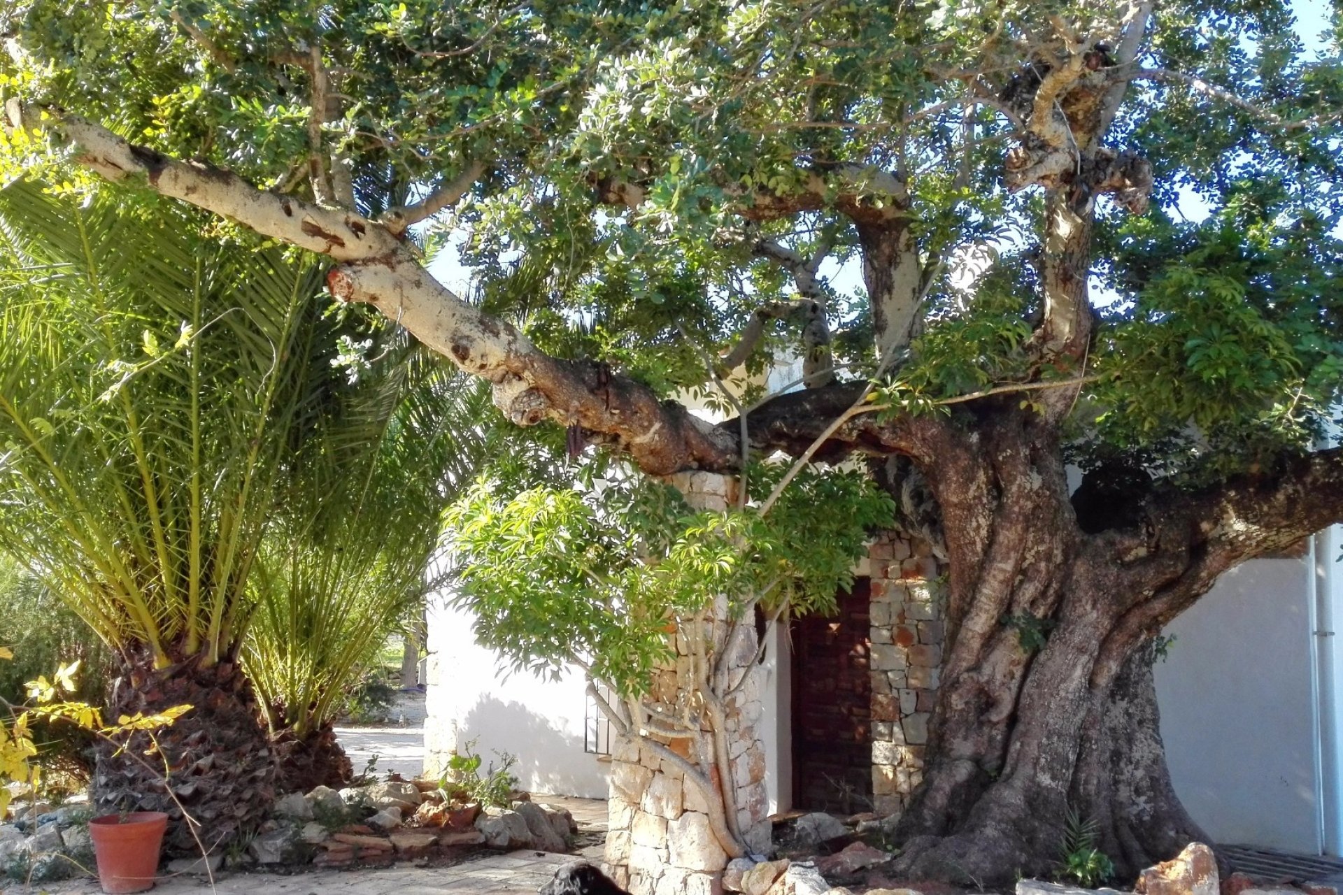 Vente - Villa - Benitachell - Benitachell/Benitatxell