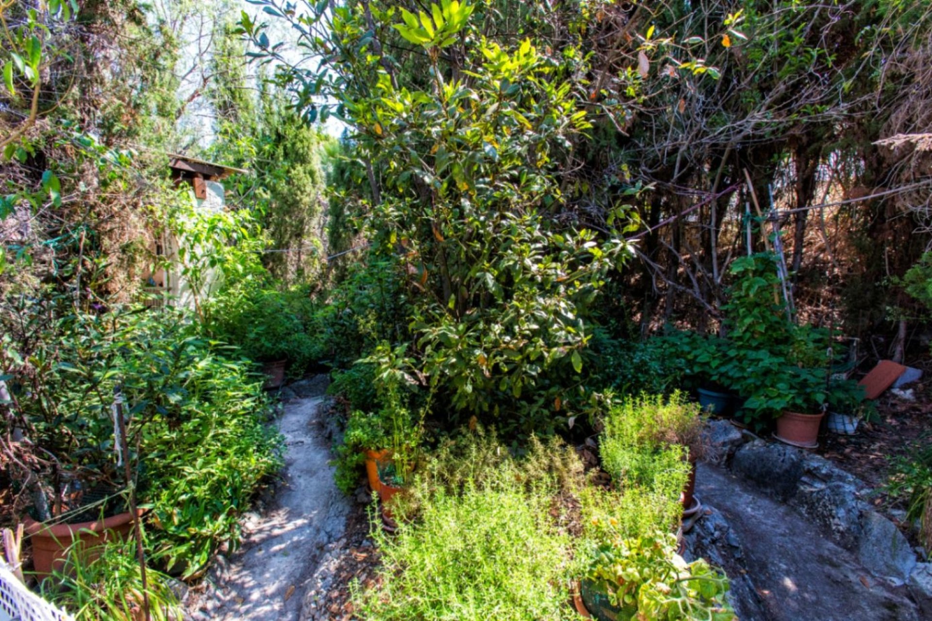Vente - Villa - Calpe - La Cometa III