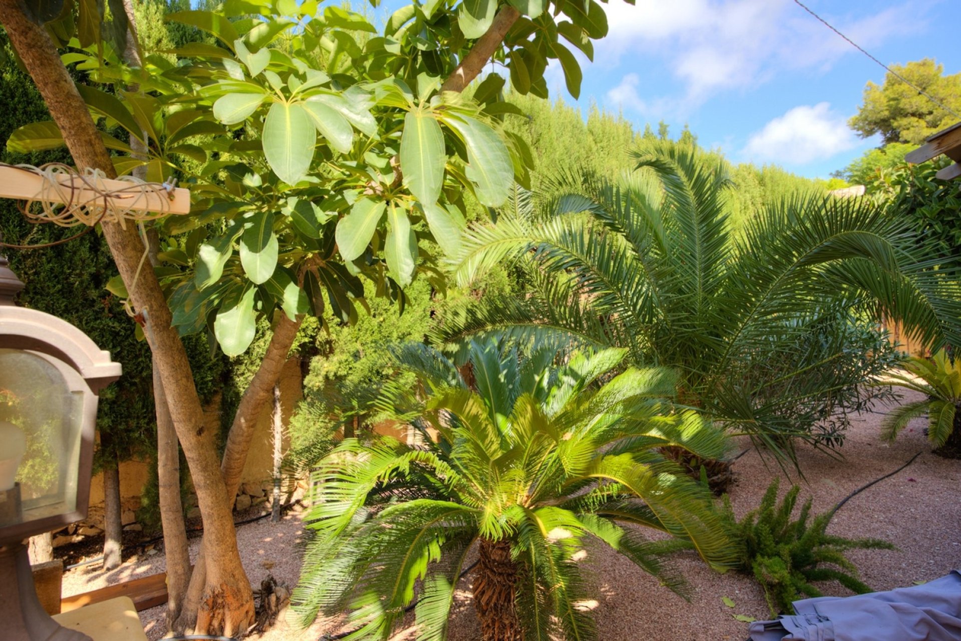 Vente - Villa - Calpe