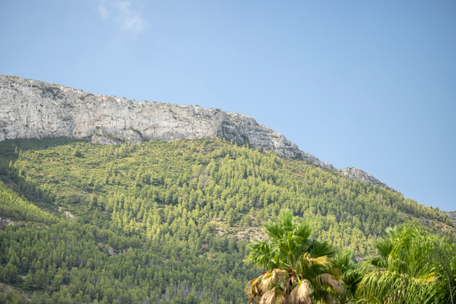 Vente - Villa - Denia