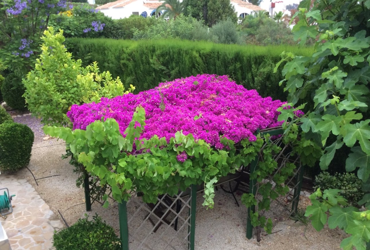Vente - Villa - Javea - Cansalades