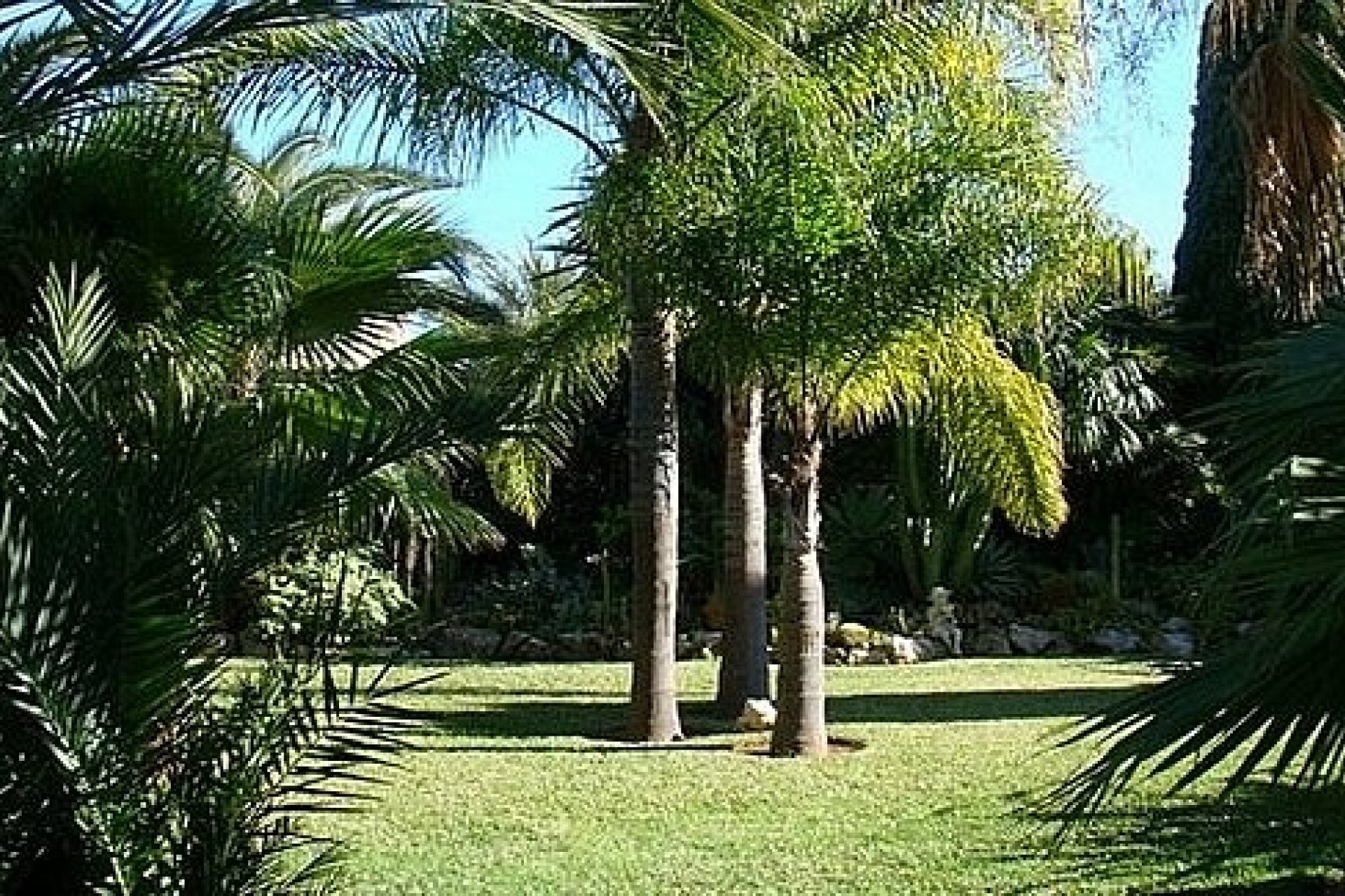 Vente - Villa - Javea - Javea/Xabia