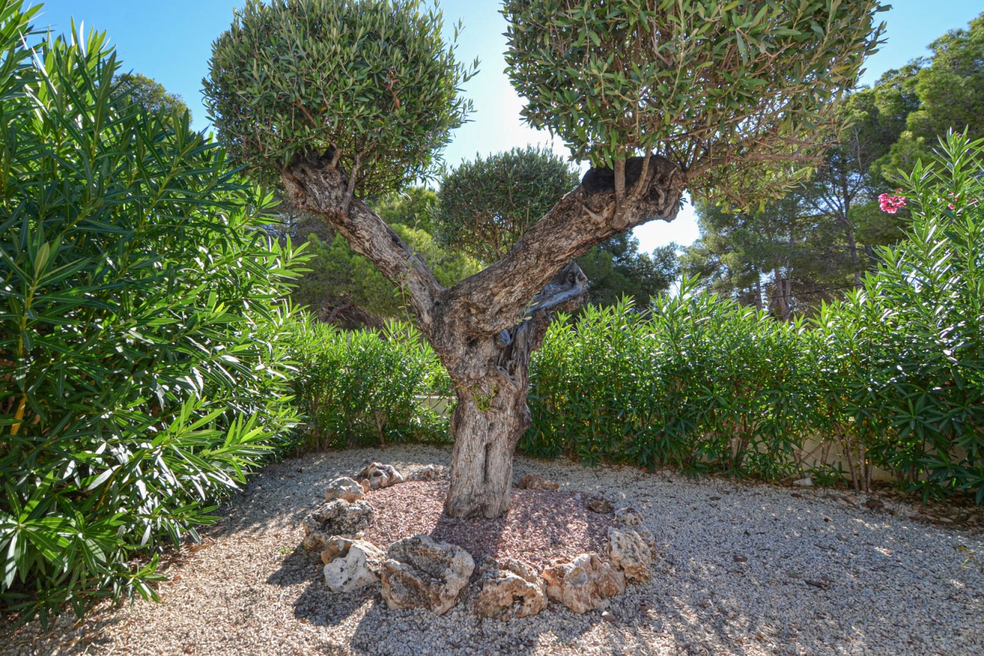 Vente - Villa - Moraira - El Bosque