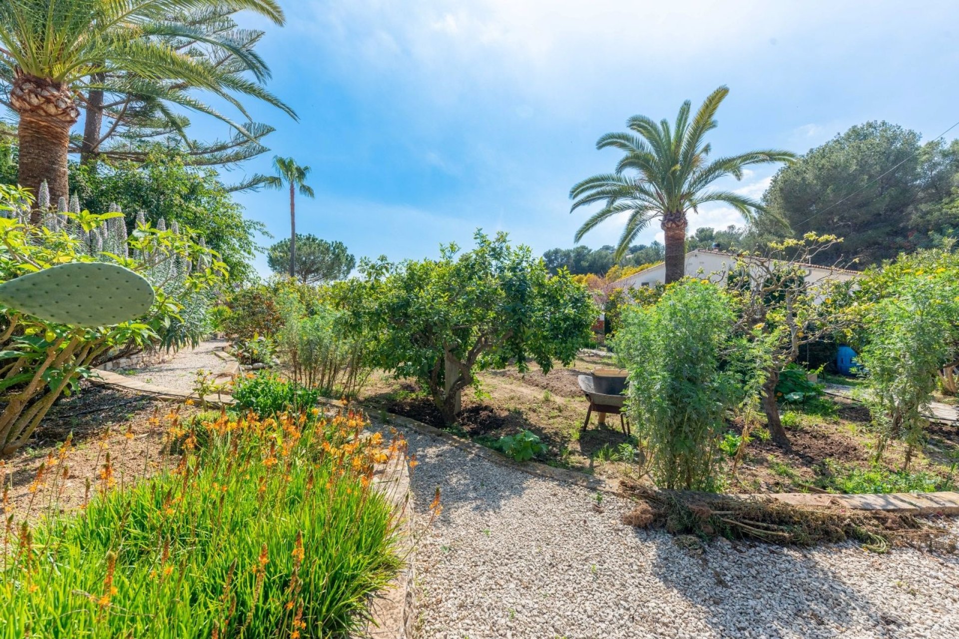 Vente - Villa - Moraira - La Arnella