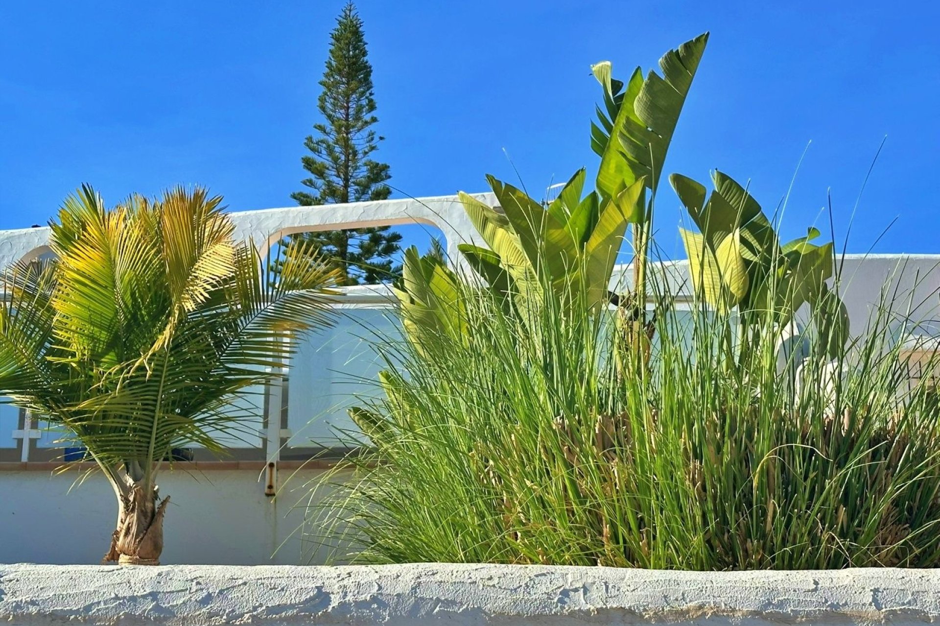 Vente - Villa - Moraira - Sabatera