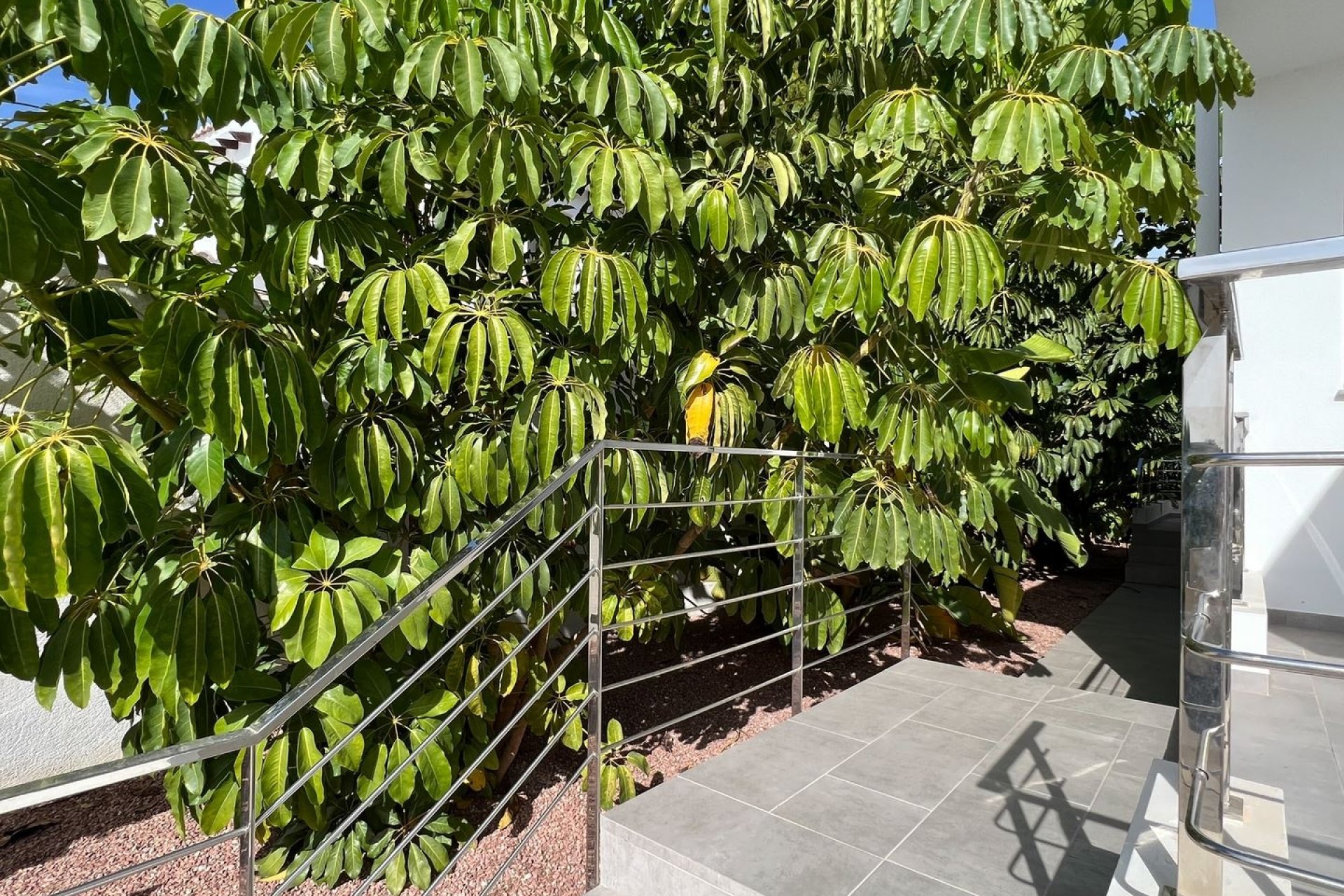 Vente - Villa - Moraira - Sabatera