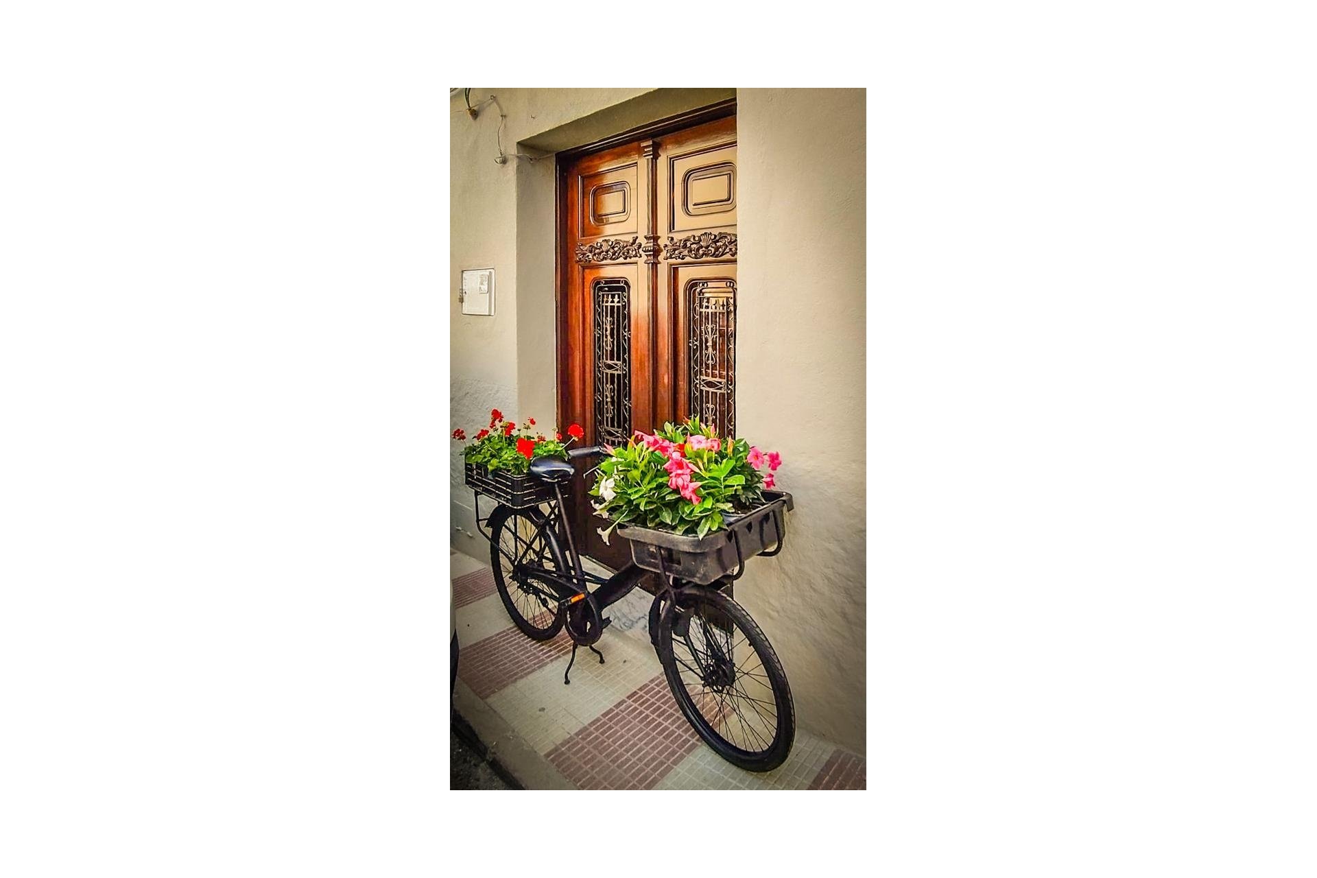 Vente - Villa - Senija