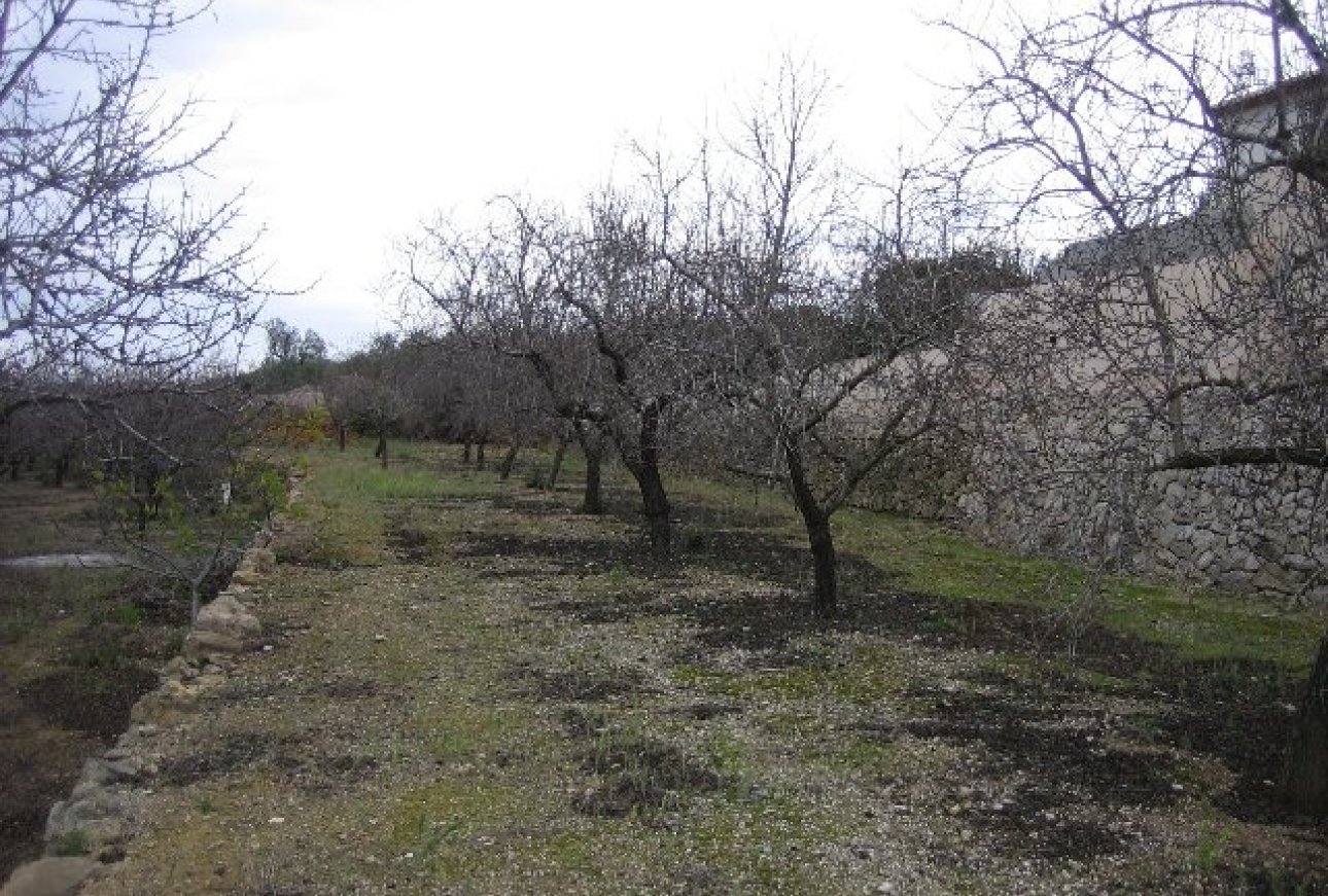 Verkauf - Finca - Benissa