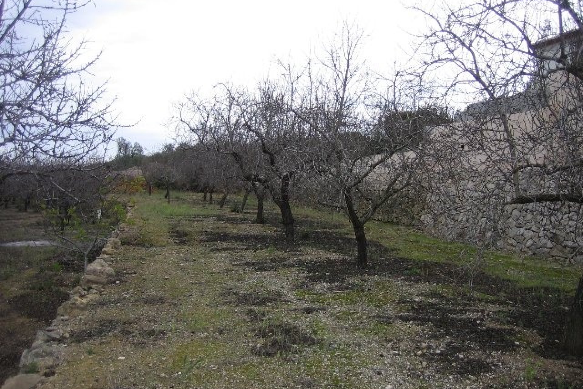 Verkauf - Finca - Benissa