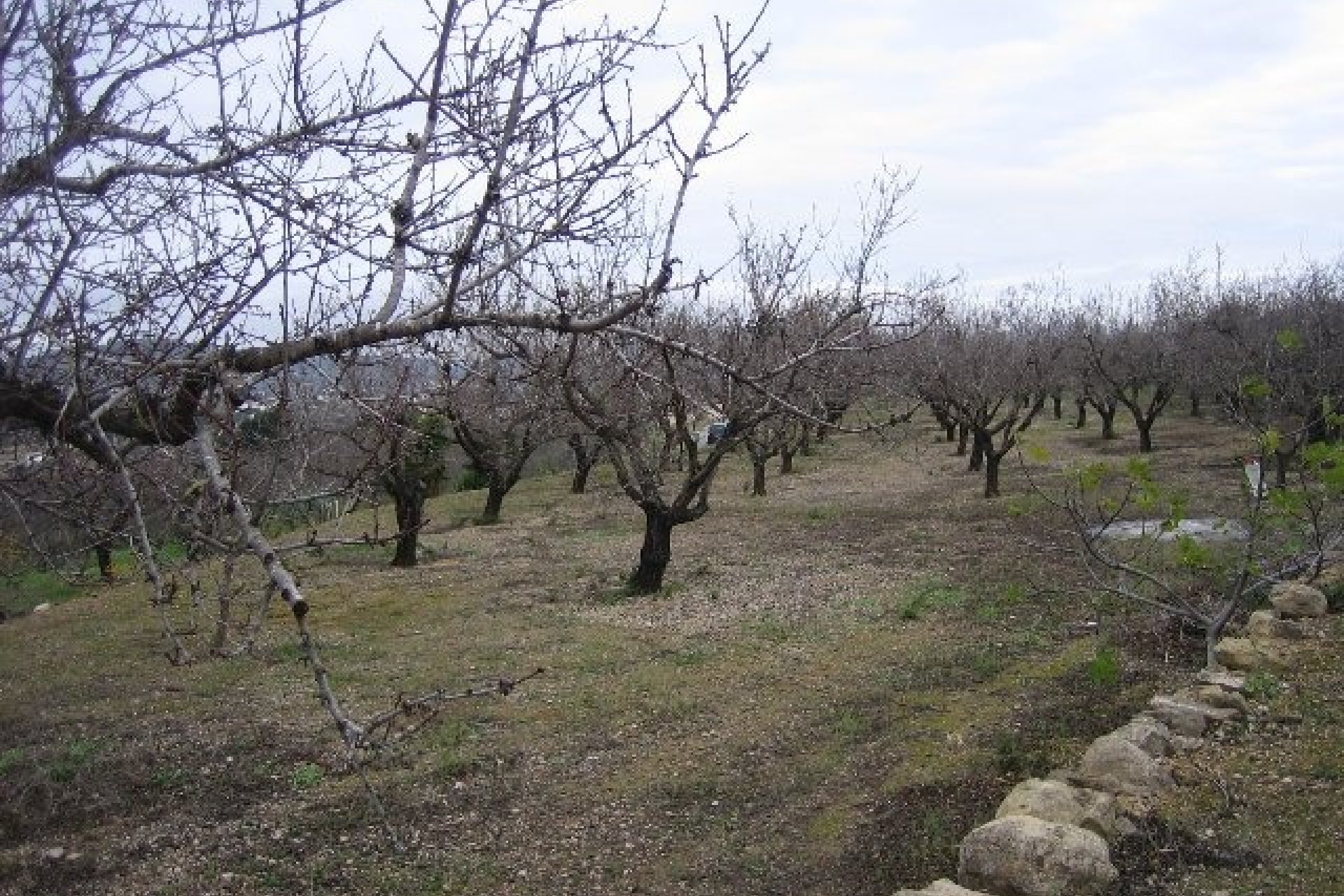 Verkauf - Finca - Benissa