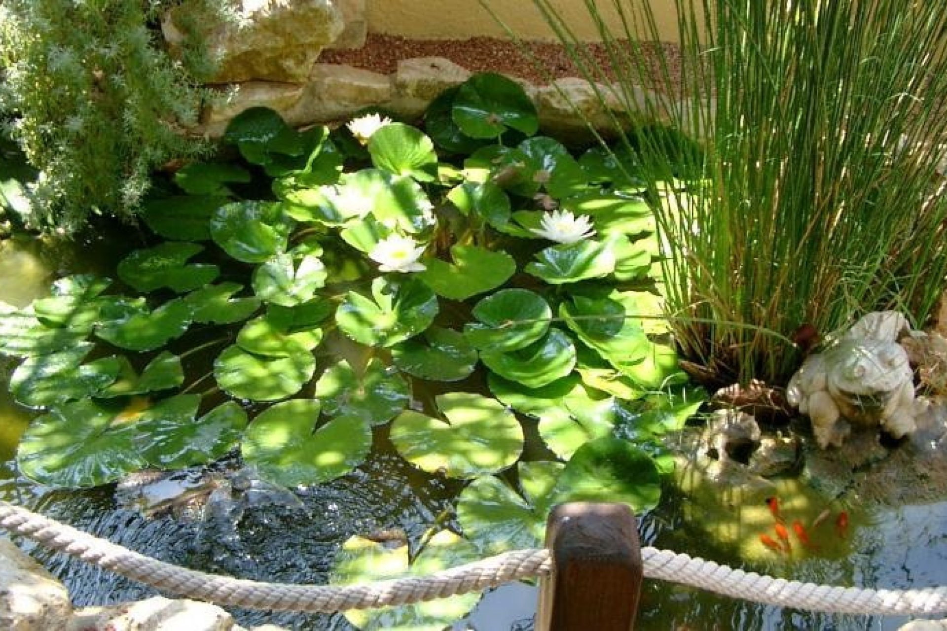 Verkauf - Hotel - Benissa - Benissa Costa