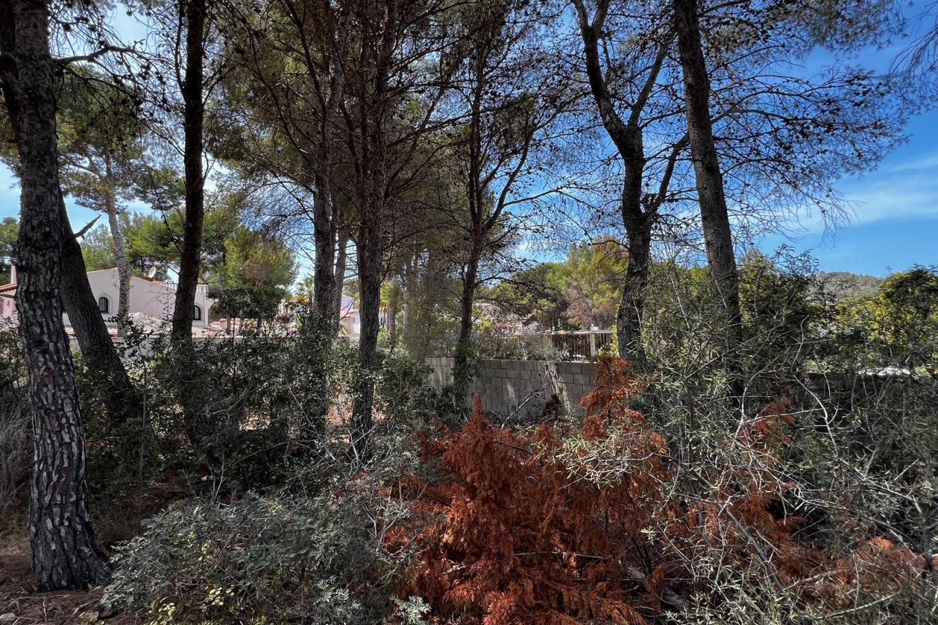 Verkauf - Land - Benissa - Benissa Costa