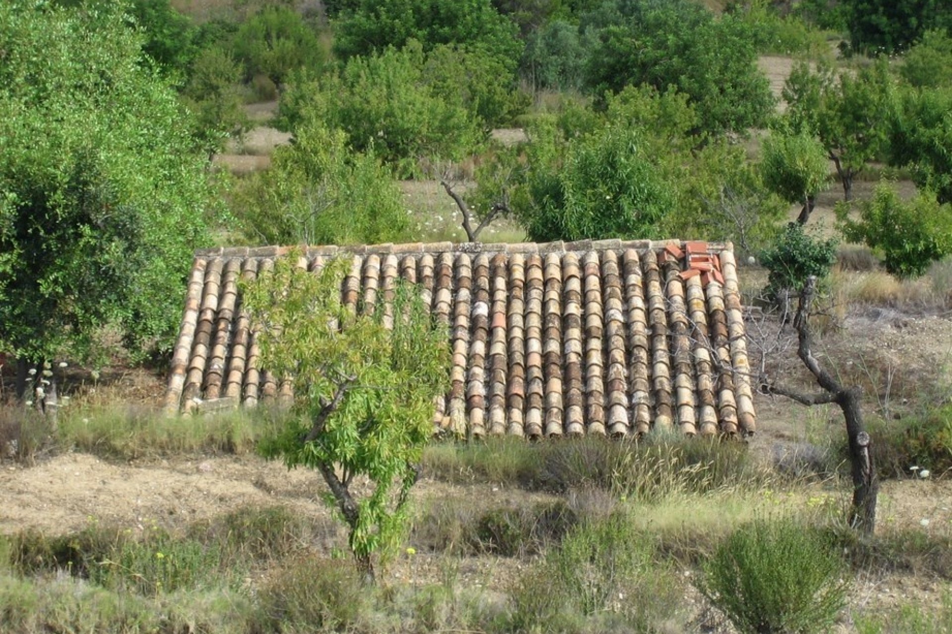Verkauf - Land - Benissa - Rural