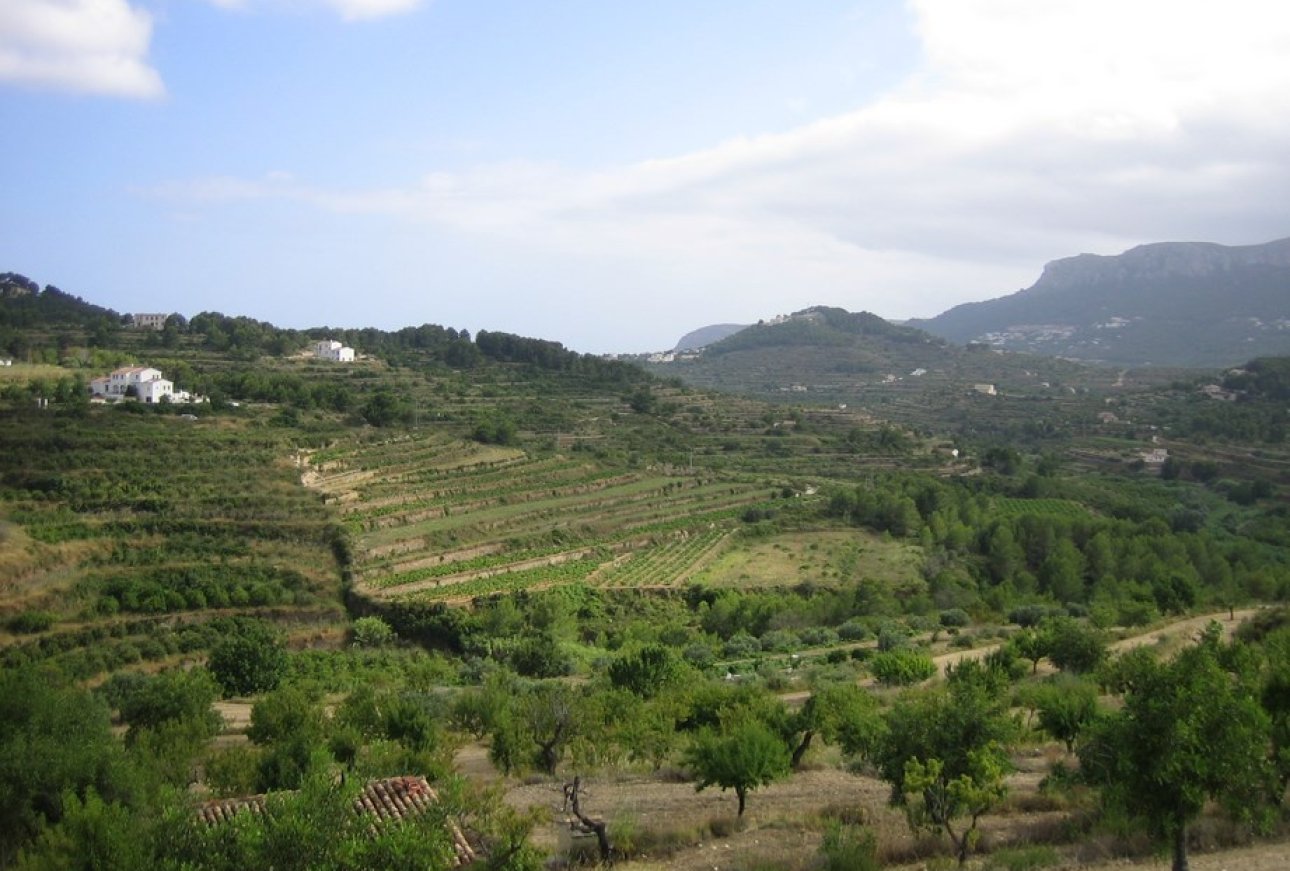 Verkauf - Land - Benissa - Rural