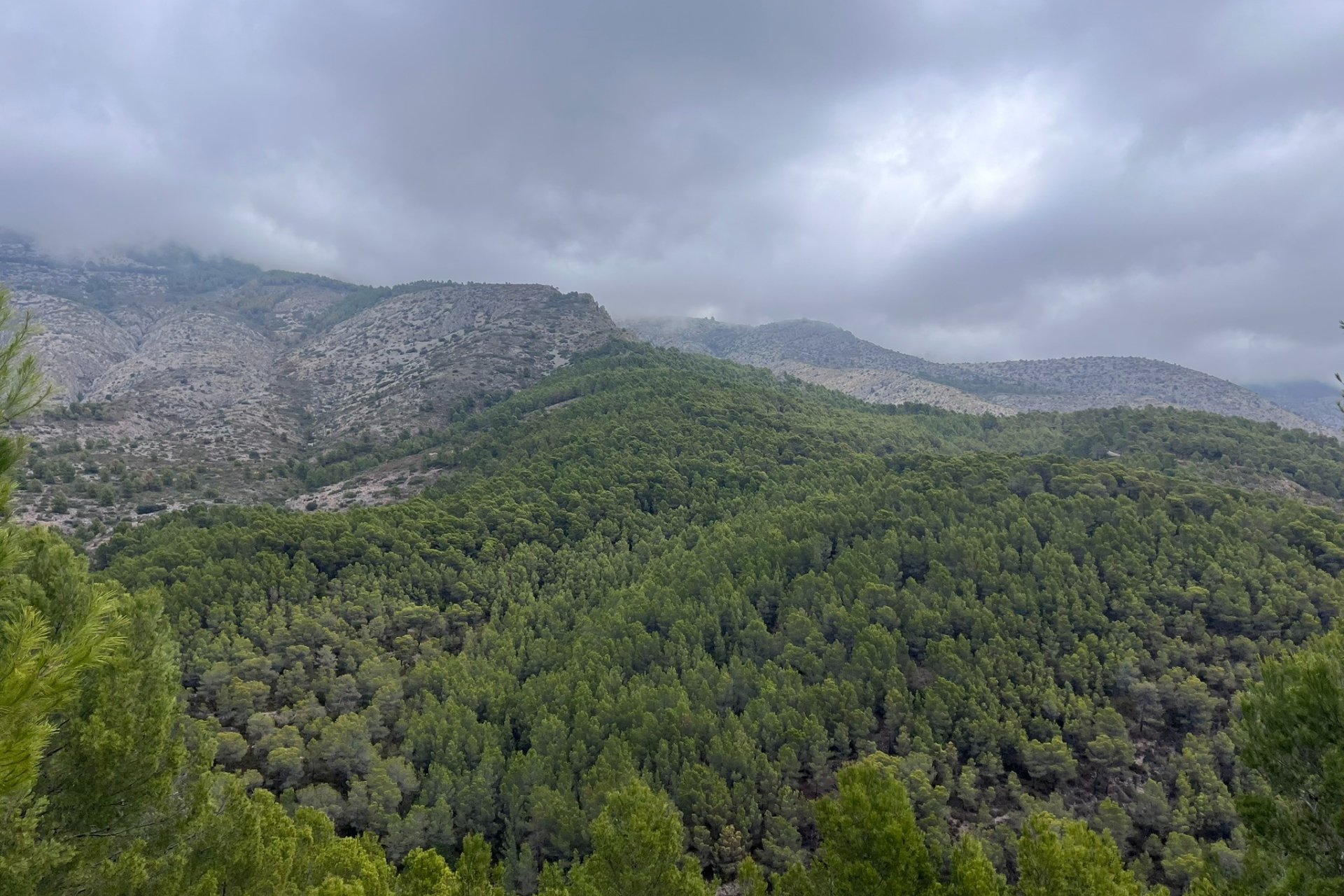Verkauf - Land - Callosa d'En Sarrià - 03510