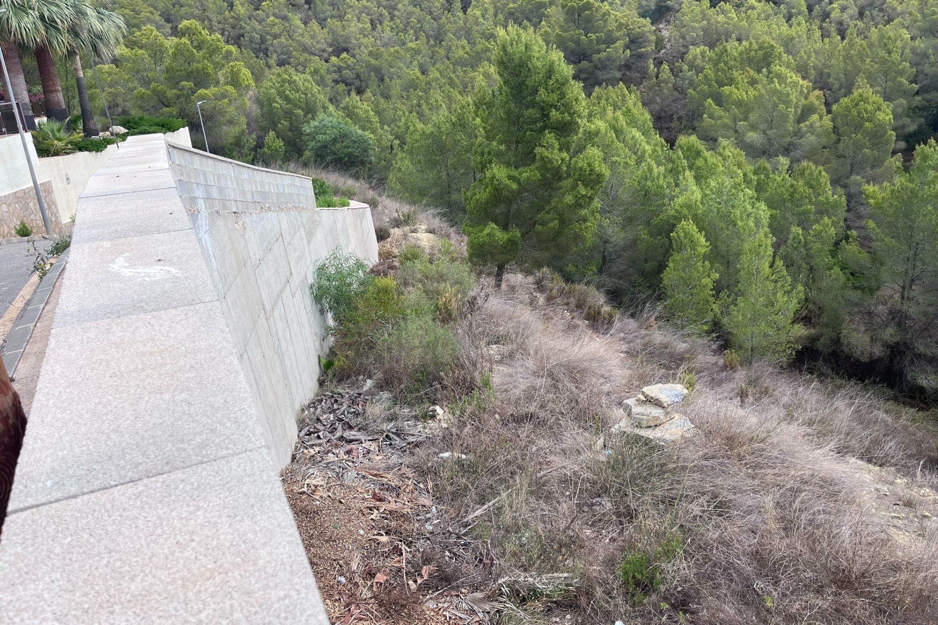 Verkauf - Land - Callosa d'En Sarrià - 03510