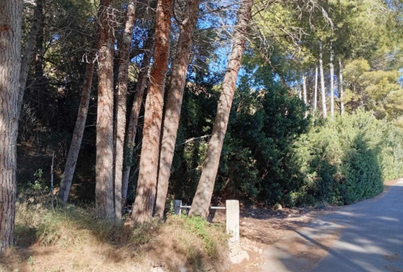 Verkauf - Land - Calpe - Oltamar
