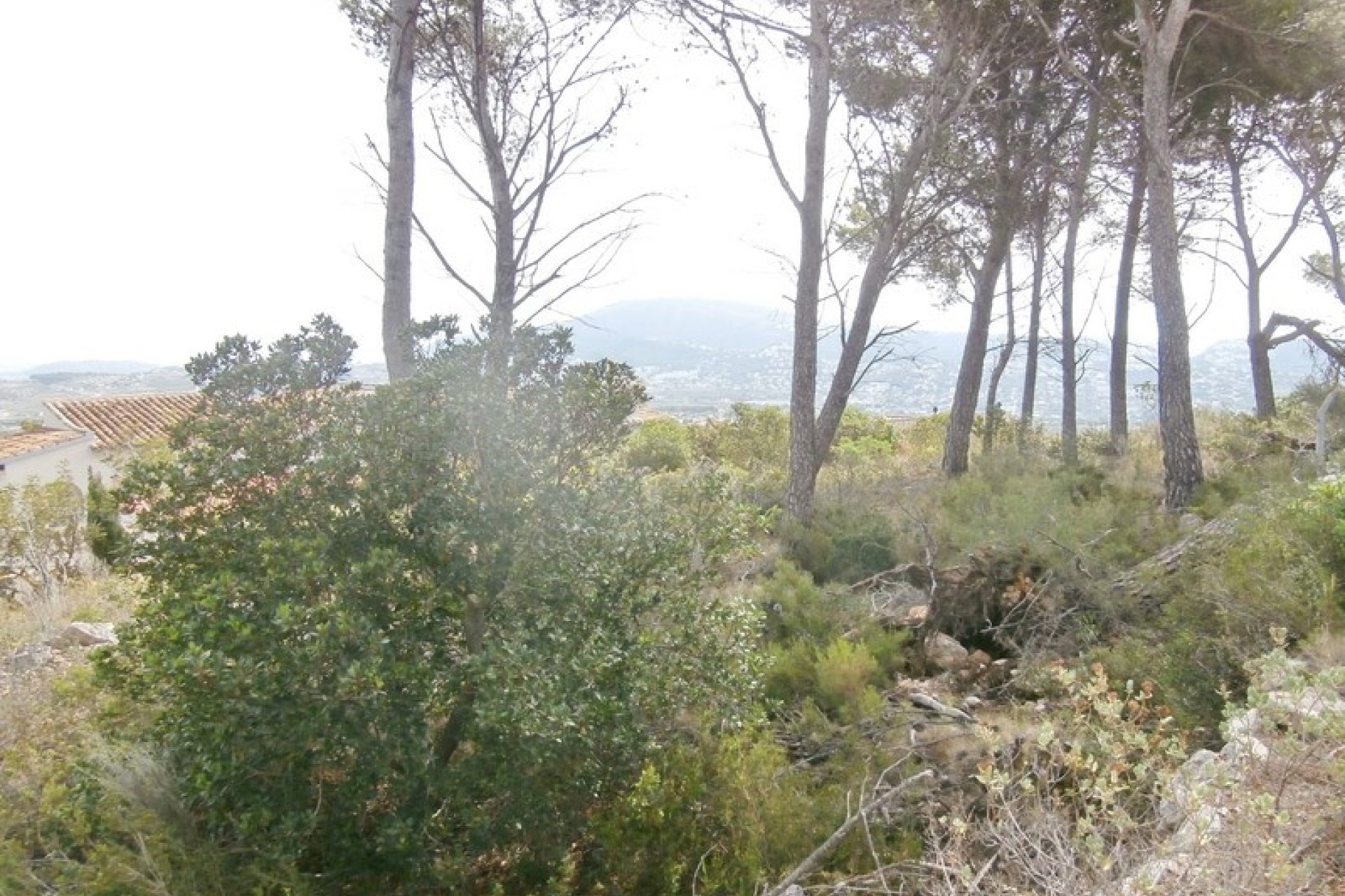 Verkauf - Land - Moraira - Benimeit