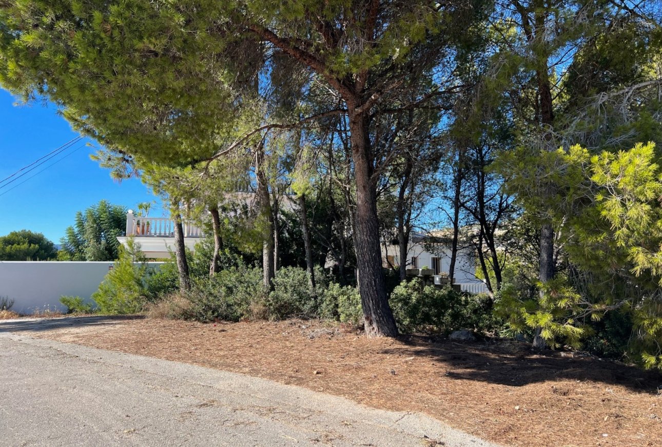 Verkauf - Land - Moraira - El Bosque