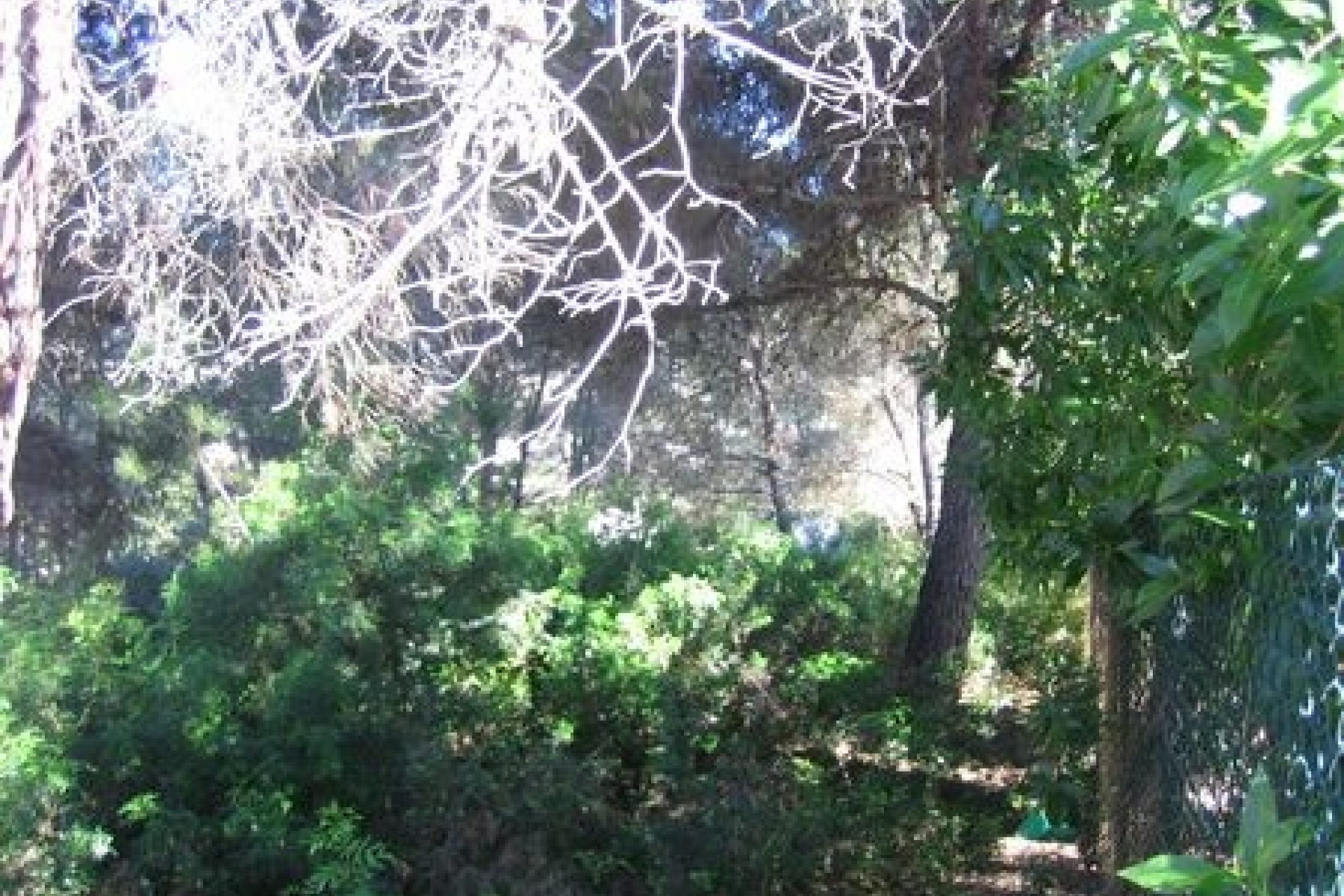 Verkauf - Land - Moraira - El Portet