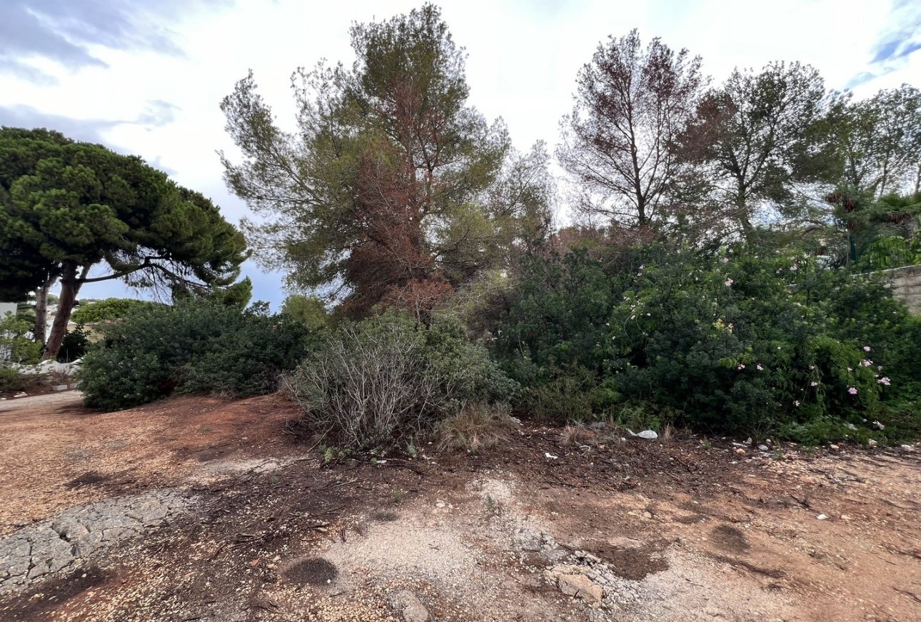 Verkauf - Land - Moraira - El Portet