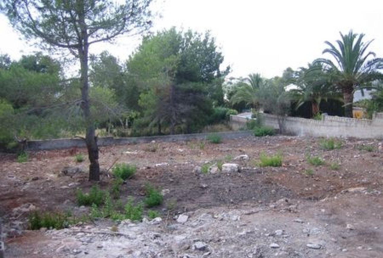 Verkauf - Land - Moraira - Moravit