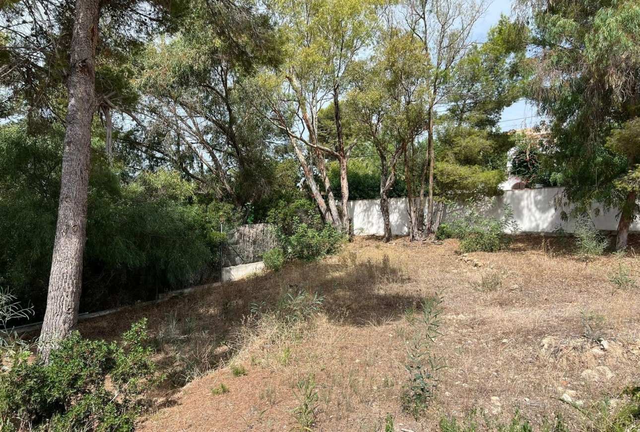 Verkauf - Land - Moraira - Paichi