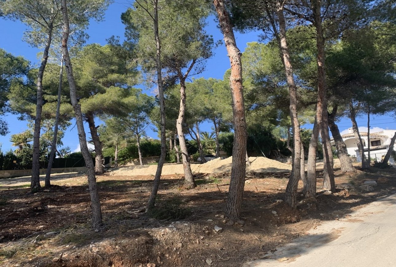Verkauf - Land - Moraira - Pla del Mar