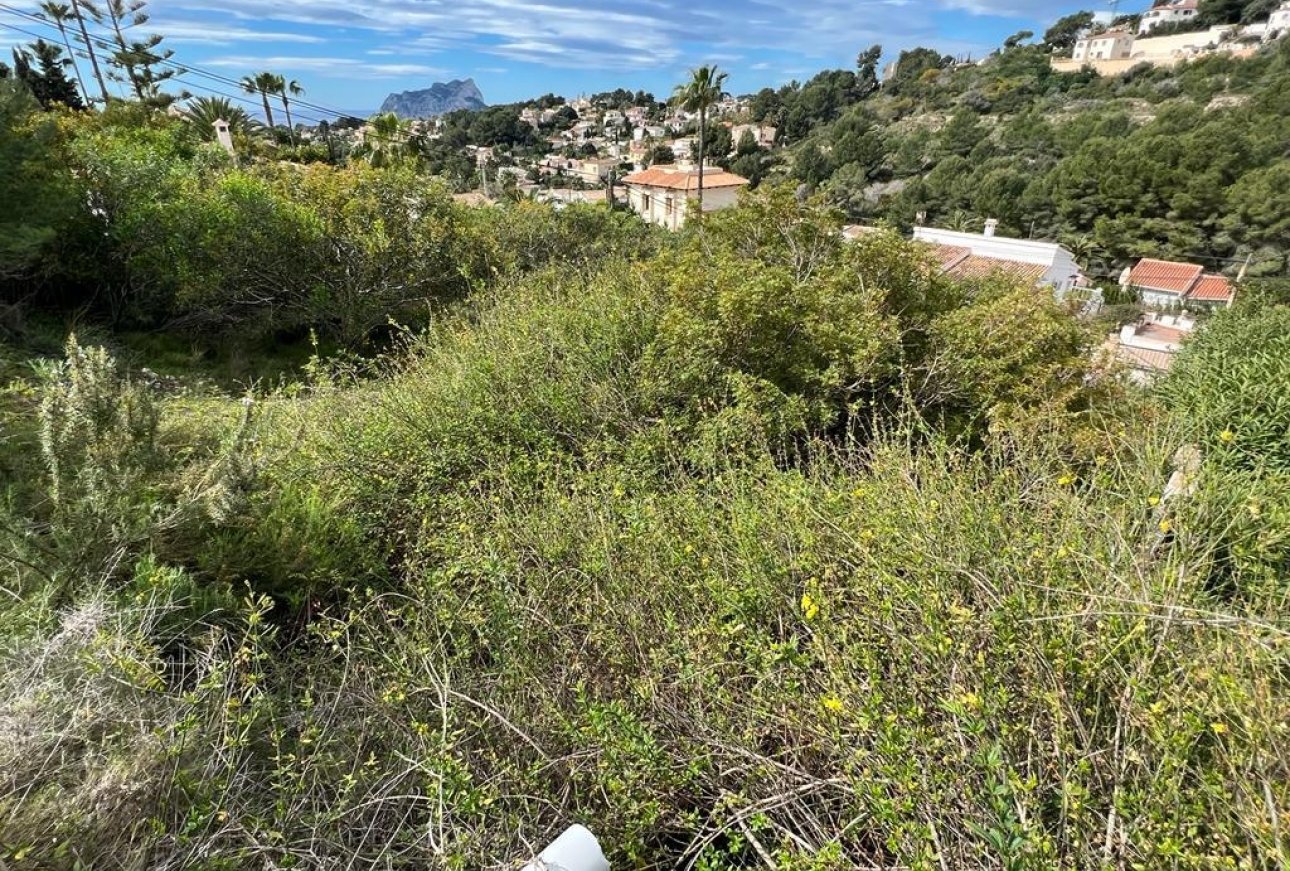 Verkauf - Land - Moraira - San Jaime