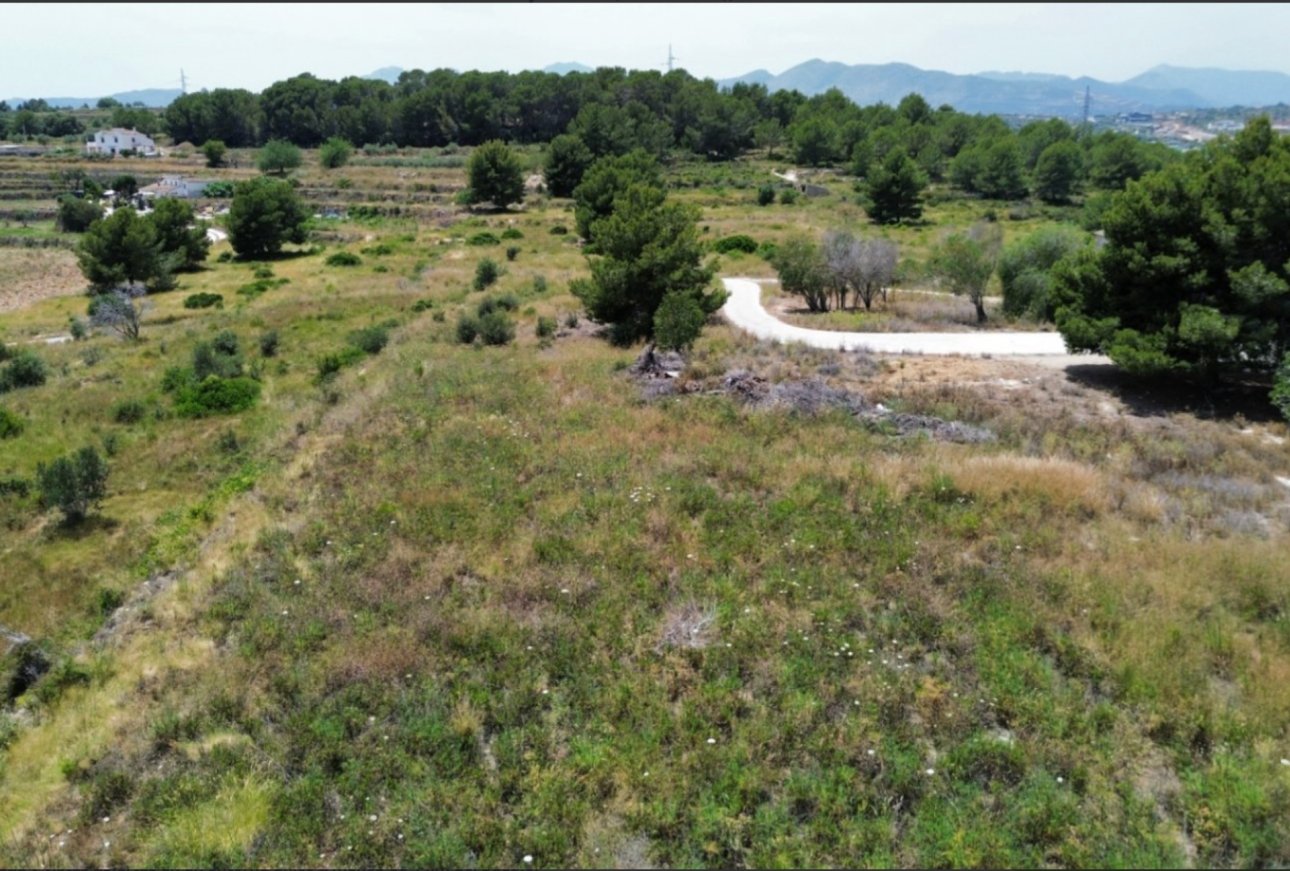 Verkauf - Land - Teulada - 03724