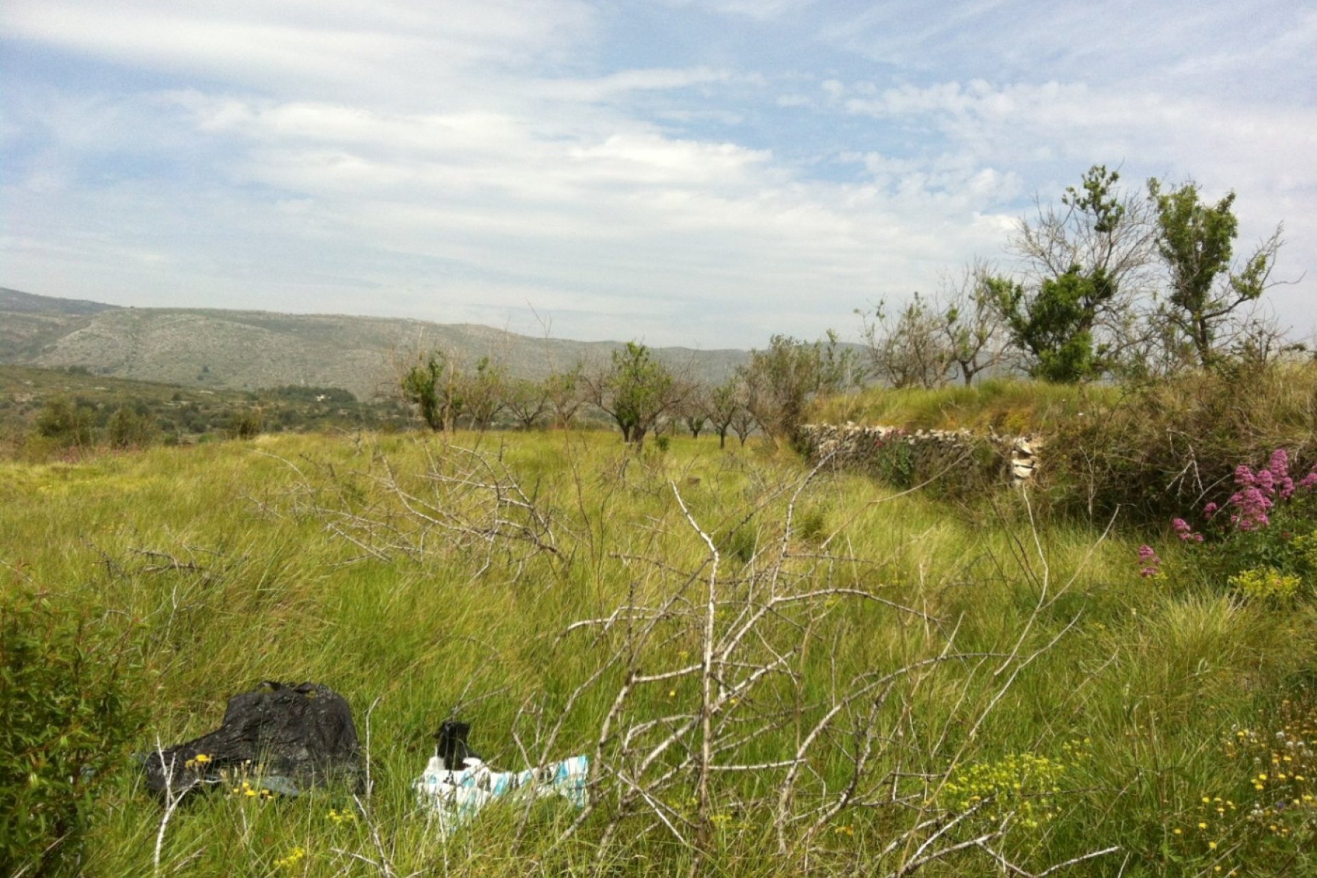Verkauf - Plot - Benissa - Partida Berdica Blanca