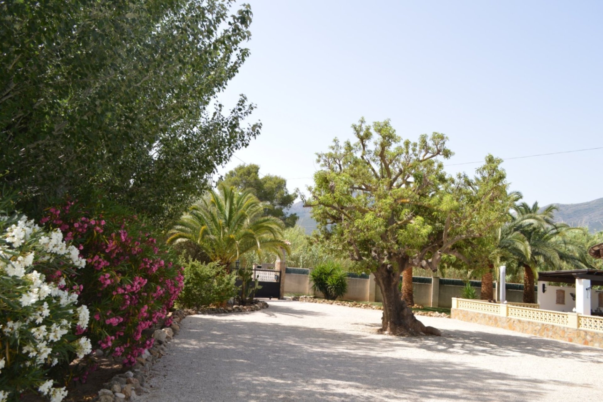 Verkauf - Villa - Alcalalí - Campo